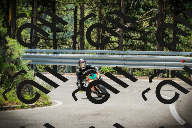 202507191118-DSC03371_c1_