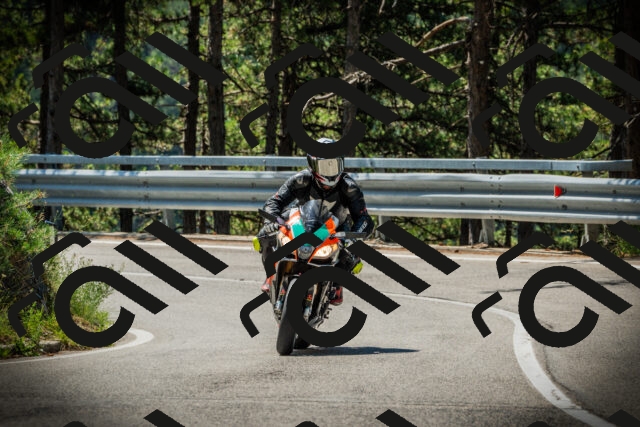 202507191118-DSC03372_c1_