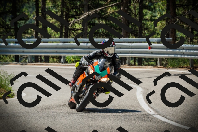 202507191118-DSC03373_c1_