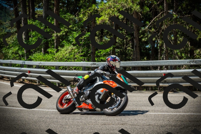 202507191118-DSC03374_c1_