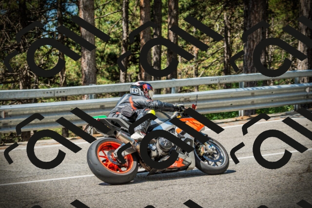 202507191118-DSC03376_c1_