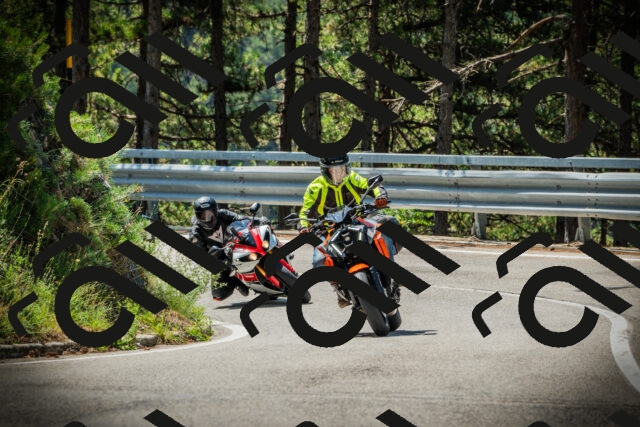 202507191119-DSC03377_c1_