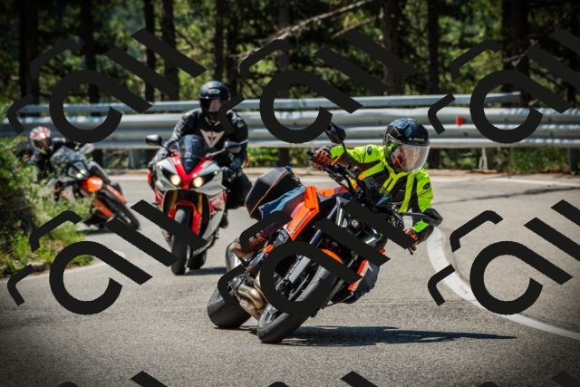 202507191119-DSC03379_c1_