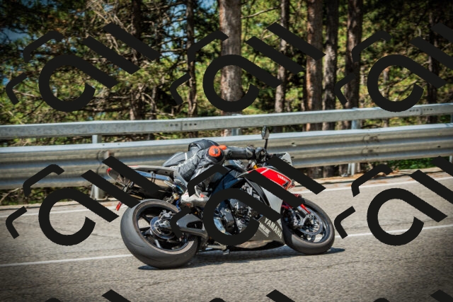 202507191119-DSC03382_c1_