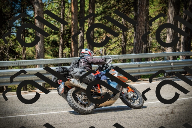 202507191119-DSC03384_c1_