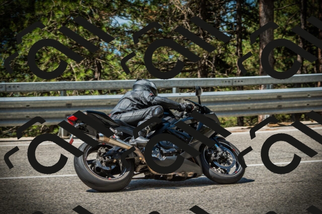 202507191119-DSC03393_c1_