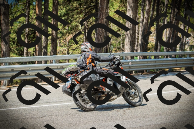 202507191119-DSC03398_c1_