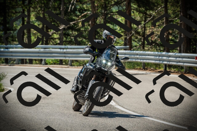 202507191119-DSC03401_c1_