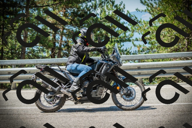 202507191119-DSC03403_c1_