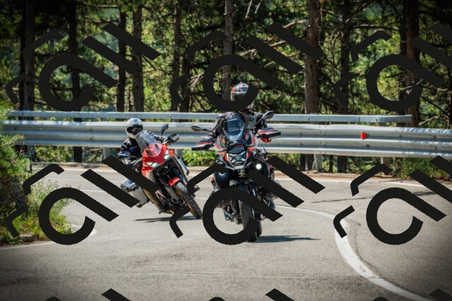 202507191119-DSC03406_c1_