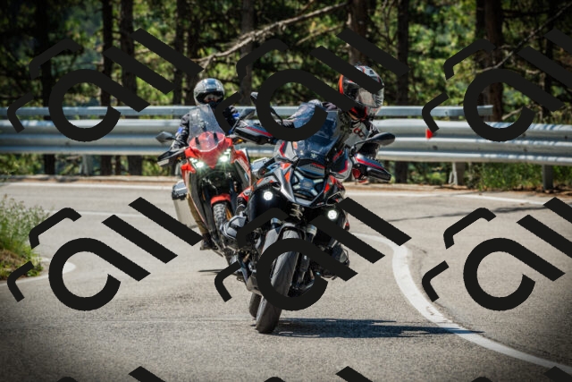 202507191119-DSC03407_c1_