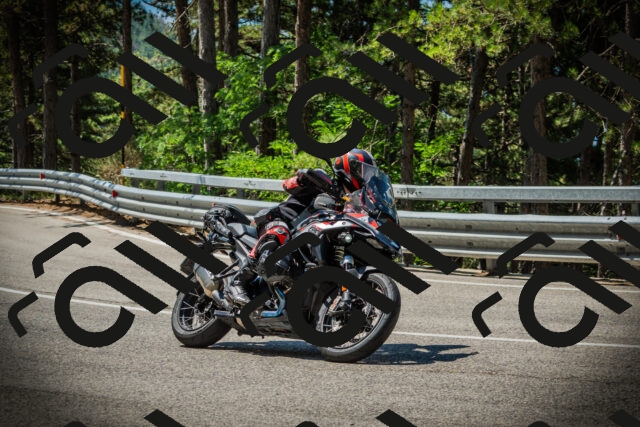 202507191119-DSC03408_c1_