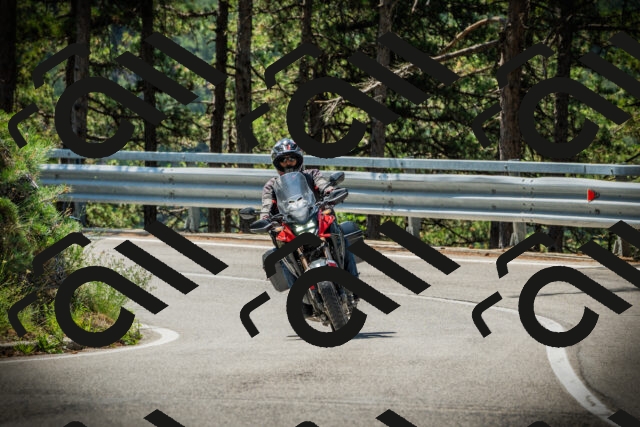 202507191119-DSC03412_c1_