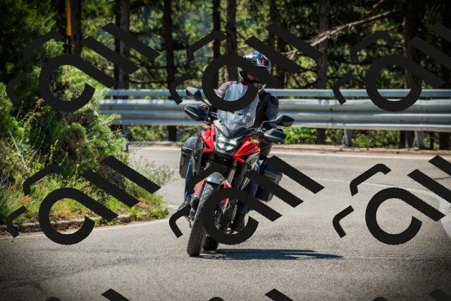 202507191119-DSC03413_c1_