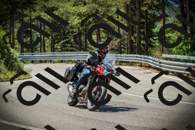 202507191120-DSC03414_c1_