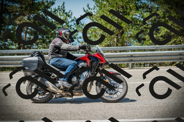 202507191120-DSC03415_c1_