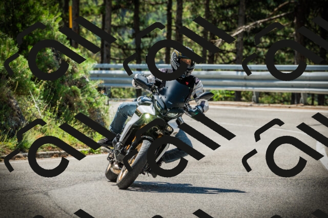 202507191120-DSC03419_c1_