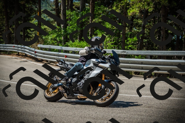 202507191120-DSC03420_c1_