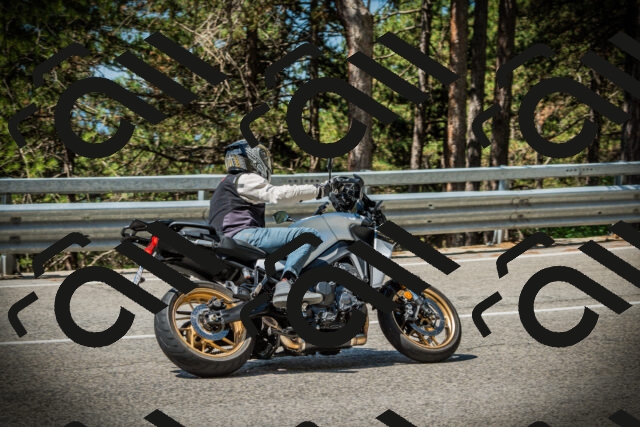 202507191120-DSC03421_c1_