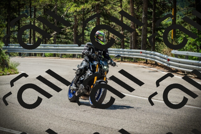 202507191120-DSC03422_c1_