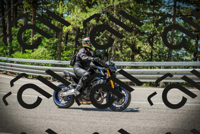 202507191120-DSC03423_c1_