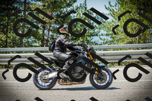 202507191120-DSC03424_c1_