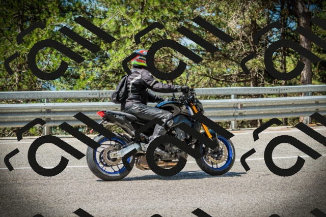 202507191120-DSC03425_c1_