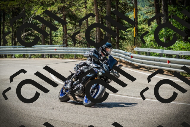 202507191124-DSC03438_c1_