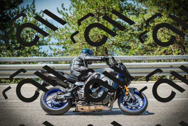 202507191124-DSC03439_c1_