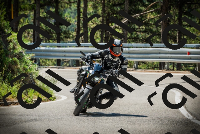 202507191124-DSC03443_c1_