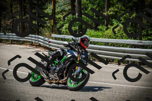 202507191124-DSC03444_c1_