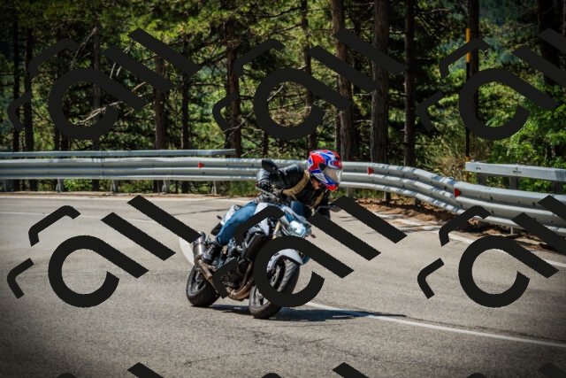 202507191125-DSC03451_c1_