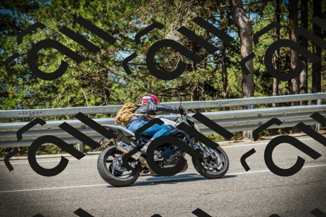 202507191125-DSC03453_c1_