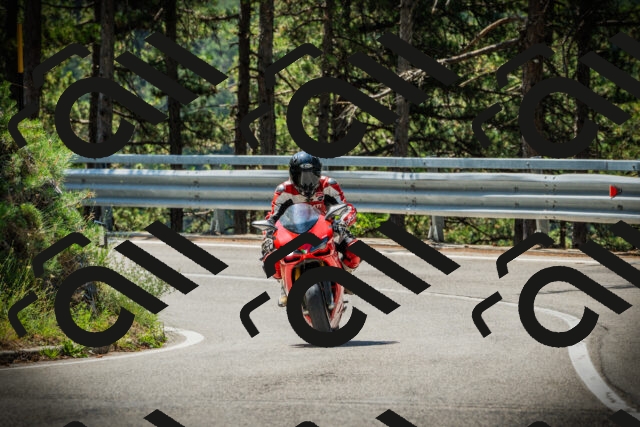 202507191125-DSC03456_c1_