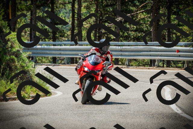 202507191125-DSC03457_c1_