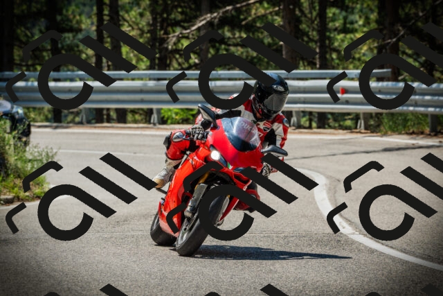 202507191125-DSC03458_c1_