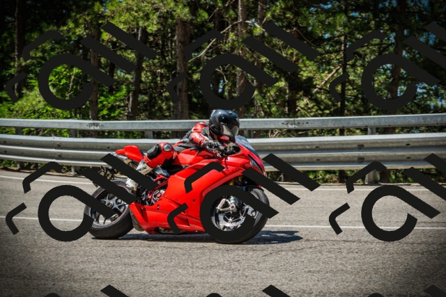 202507191125-DSC03459_c1_