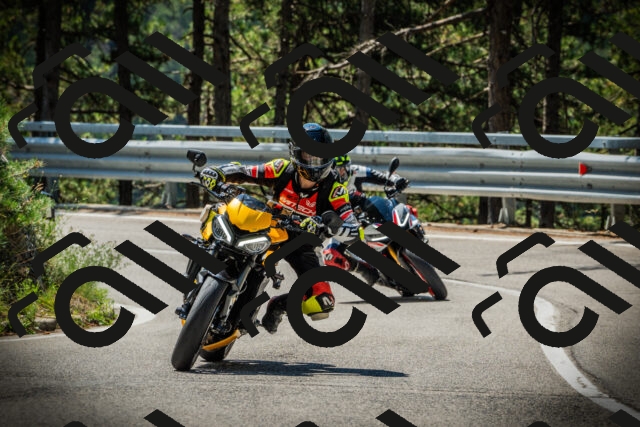 202507191126-DSC03464_c1_