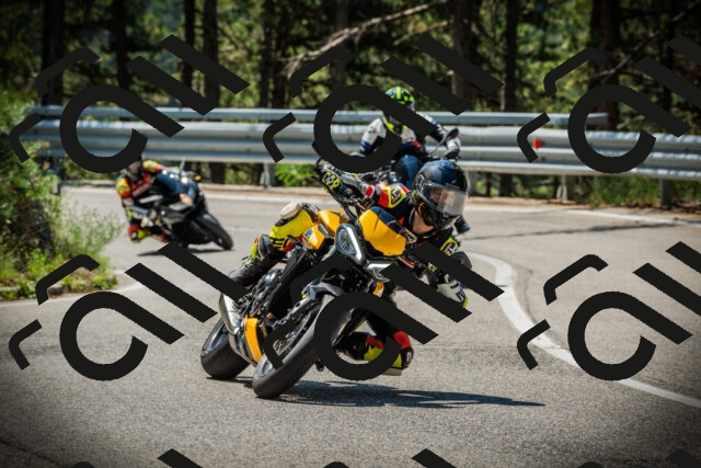 202507191126-DSC03465_c1_