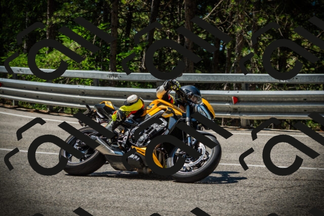 202507191126-DSC03466_c1_