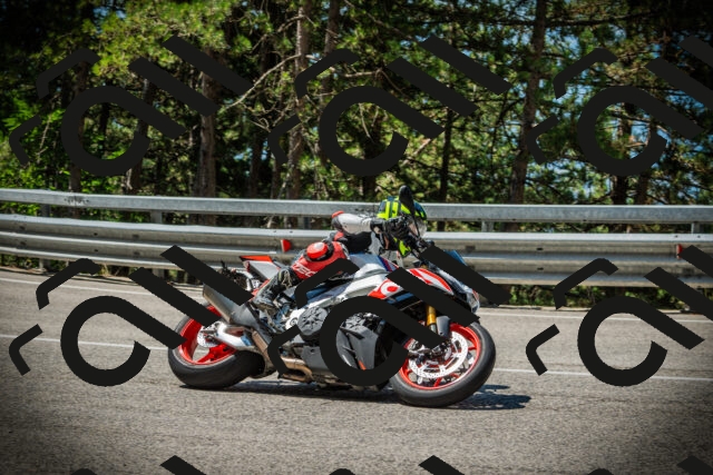 202507191126-DSC03467_c1_