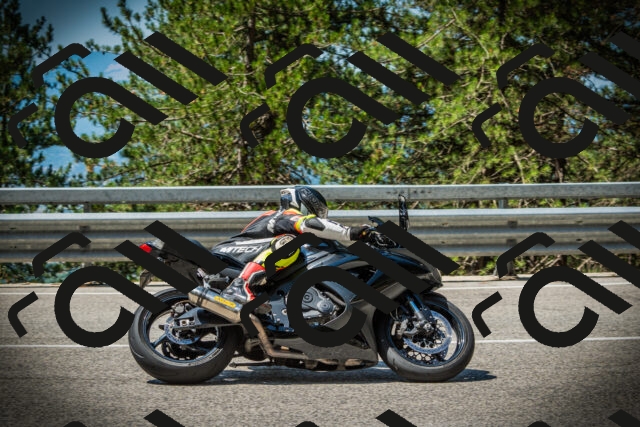 202507191126-DSC03469_c1_