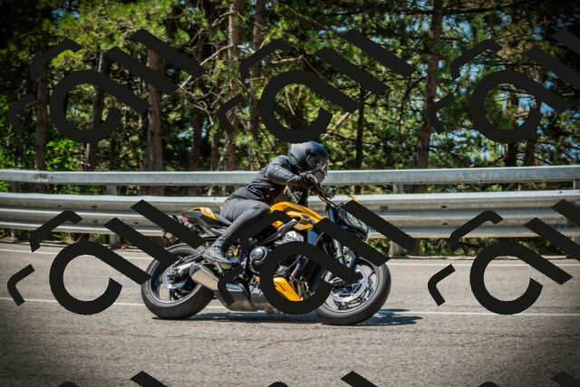 202507191126-DSC03471_c1_