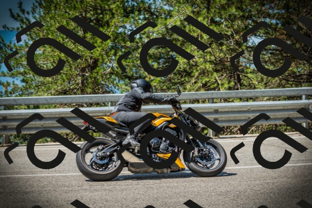 202507191126-DSC03472_c1_