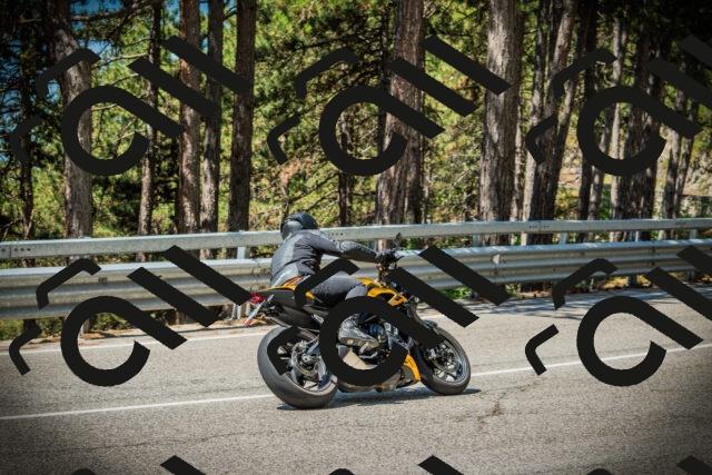 202507191126-DSC03473_c1_