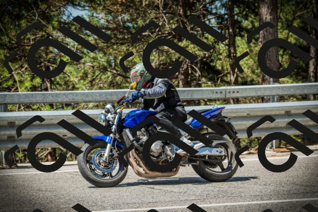 202507191126-DSC03474_c1_