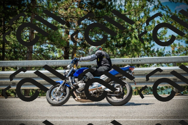 202507191126-DSC03475_c1_