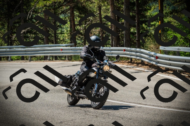 202507191127-DSC03478_c1_