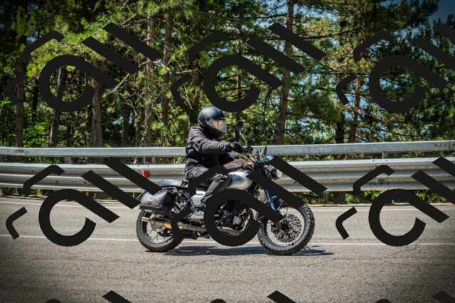 202507191127-DSC03479_c1_