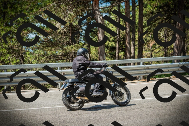 202507191127-DSC03481_c1_